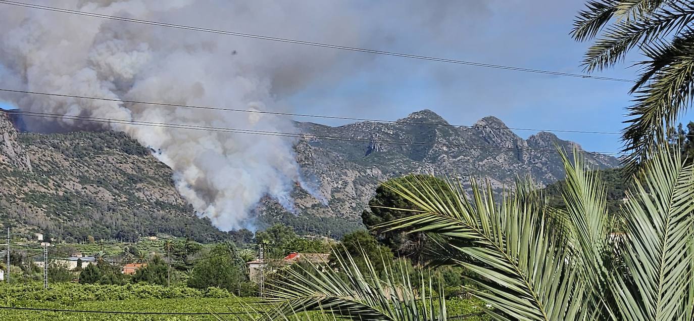 Incendio forestal en La Casella de Alzira