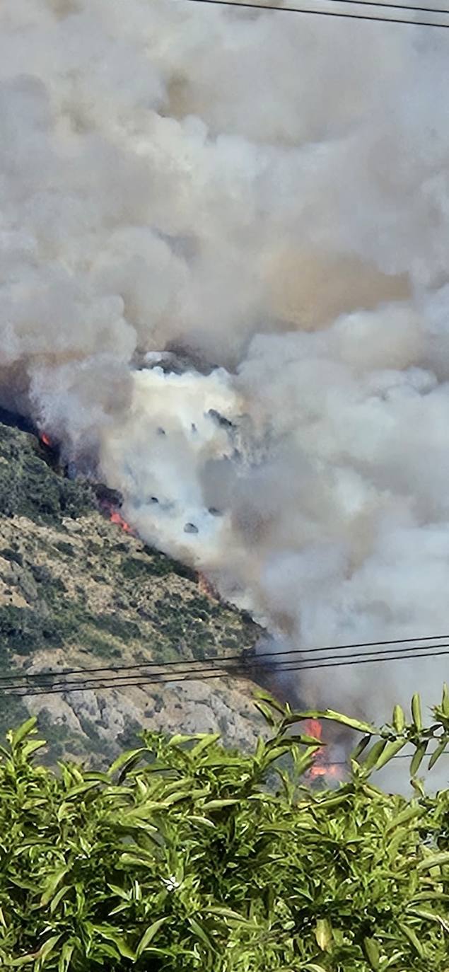 Incendio forestal en La Casella de Alzira