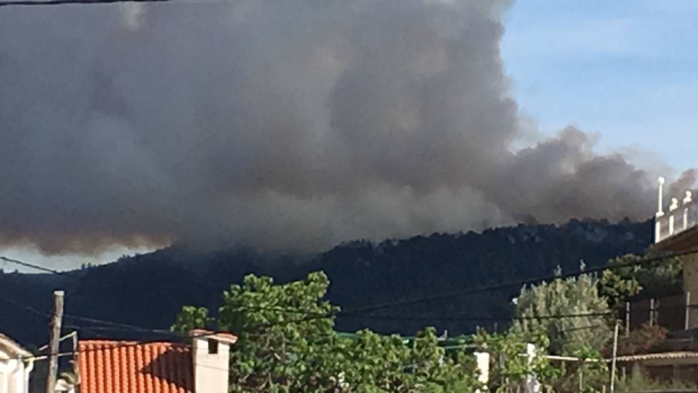 Incendio forestal en La Casella de Alzira