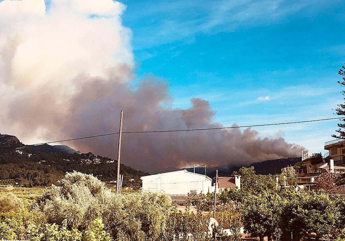 Incendio forestal en La Casella de Alzira.