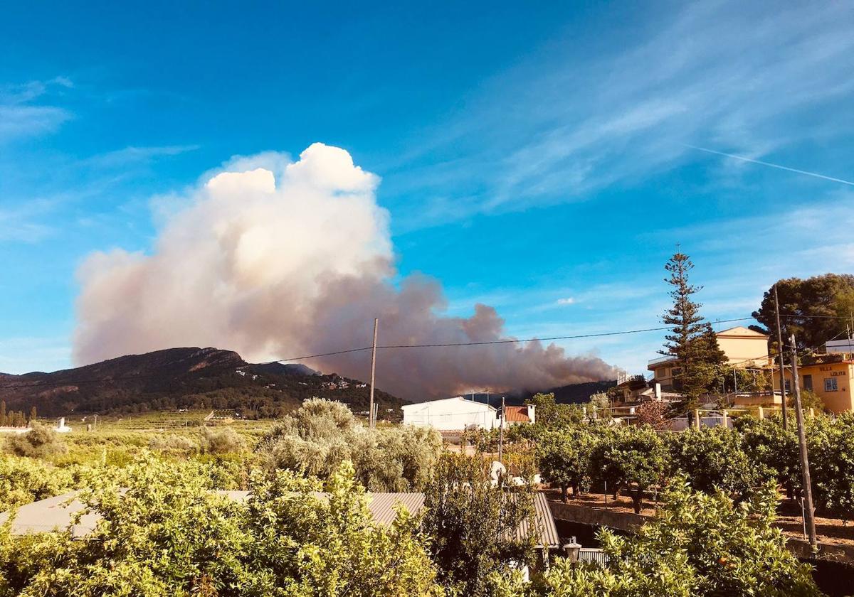 Incendio forestal en La Casella de Alzira