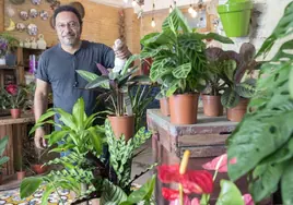 Fernando tomó el negocio de una floristería en Ruzafa a sus 50 años tras quedarse sin uno de sus trabajos por la pandemia.