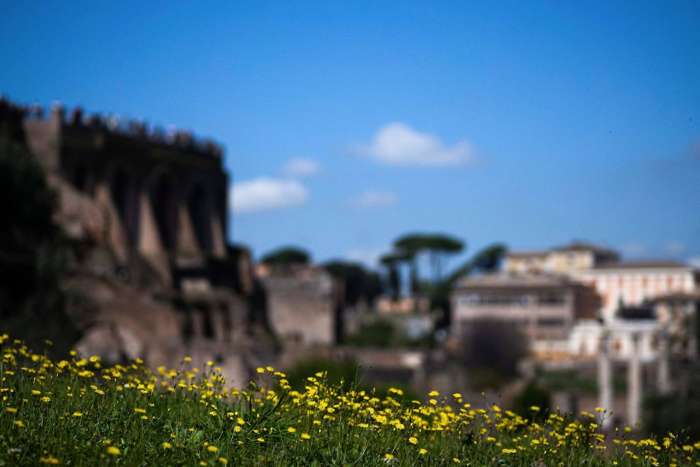 De visita por el Foro Romano, el corazón de la antigua Roma