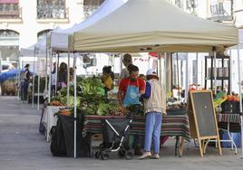 Puestos del mercado de agricultores instalado junto al mercado de Colón.