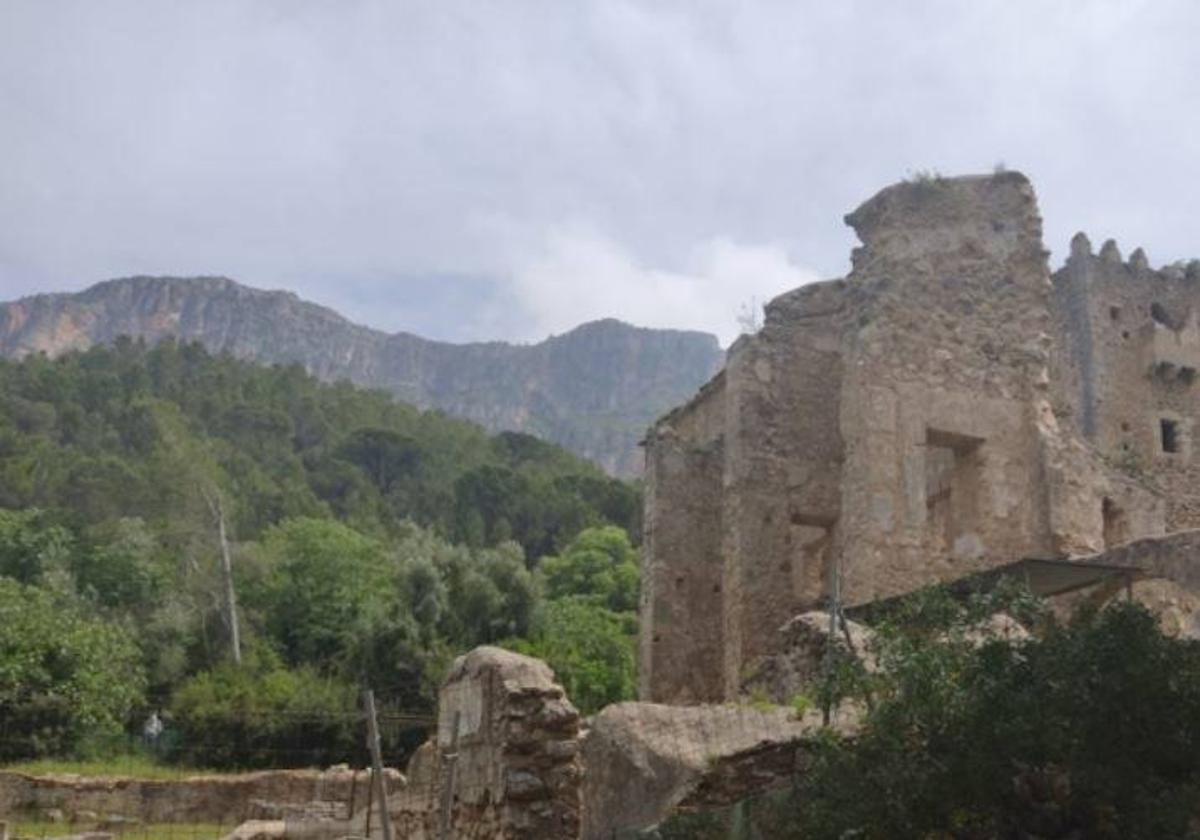 Paraje de la Murta en Alzira.