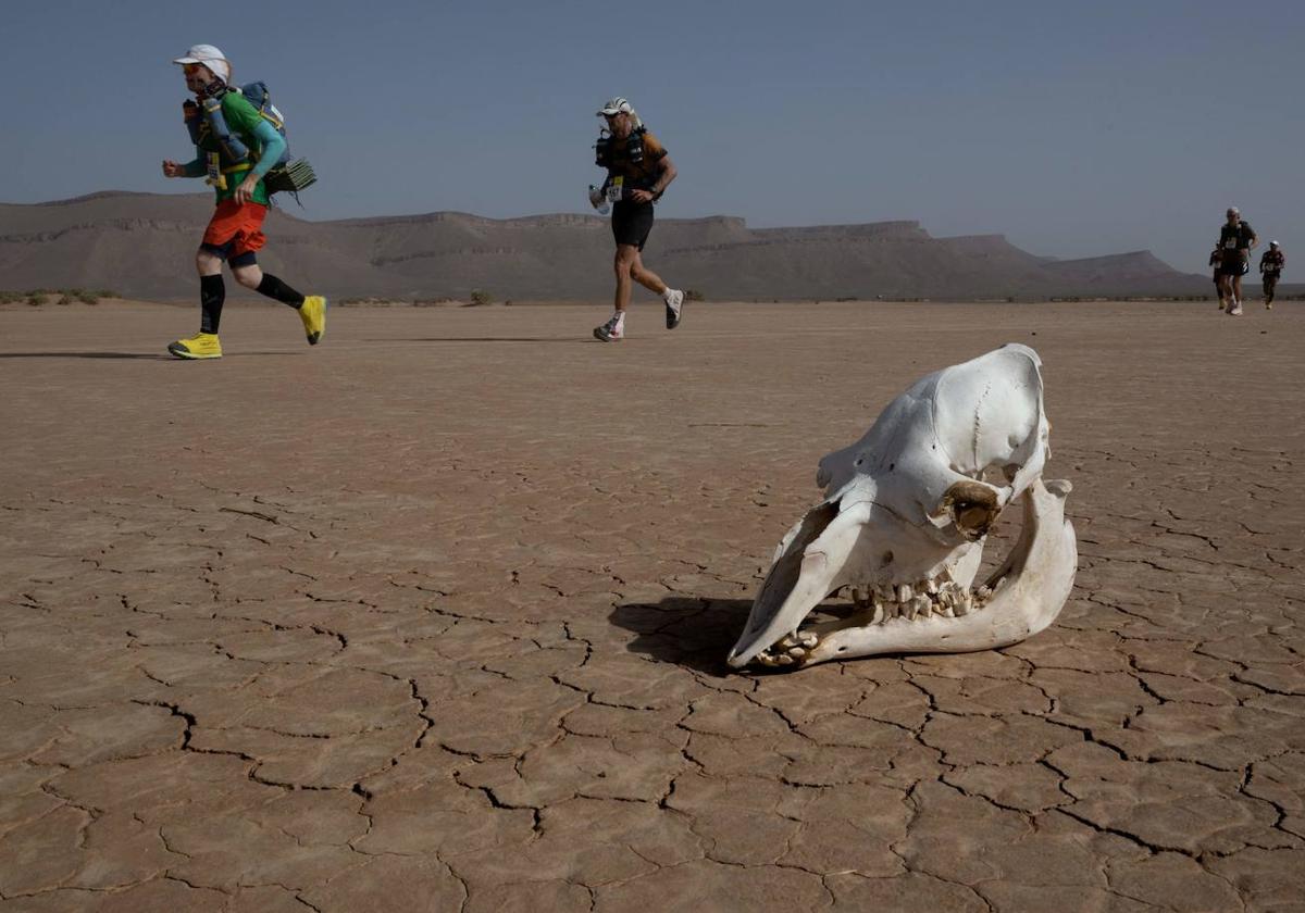 Marathon des Sables 2023: así se compite en una de las carreras más extremas del mundo