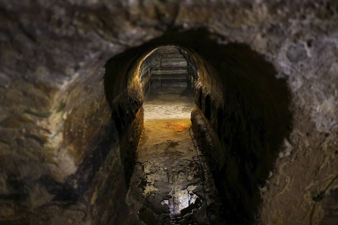Su buen estado se debe a que permanecen inundadas durante buena parte del año. 