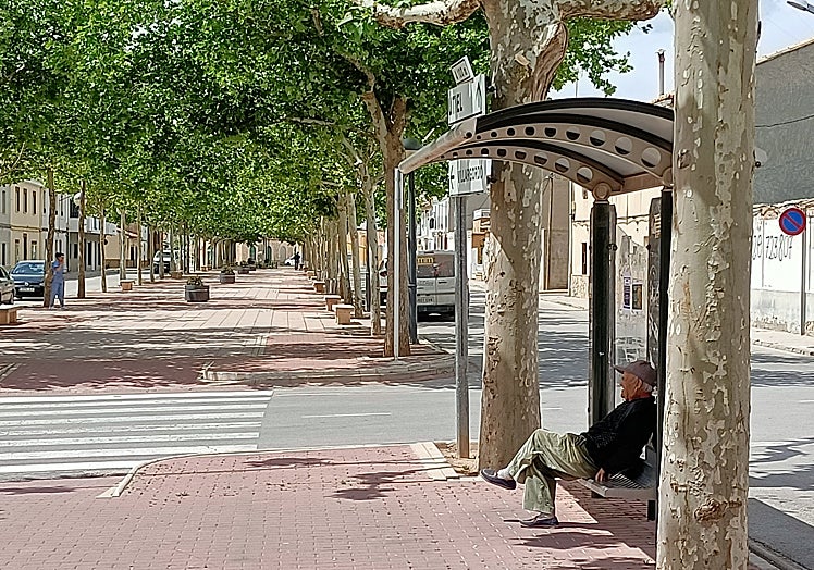 Imagen principal - Un camporruteño pasa la mañana en una parada en la qe no hay carretera ni autobús.