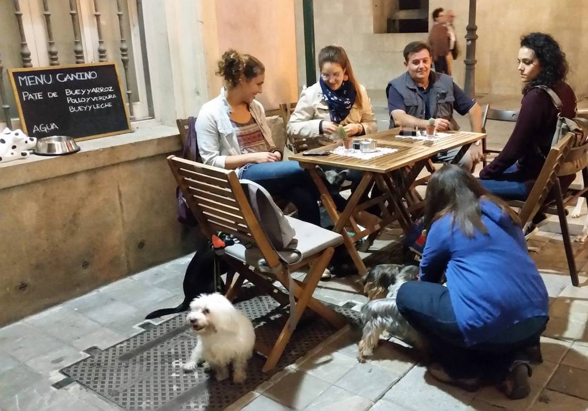 Una terraza de un local con opción de snack y bebida para perros.