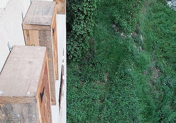 Cajas nido instaladas en Moixent para albergar murciélagos.