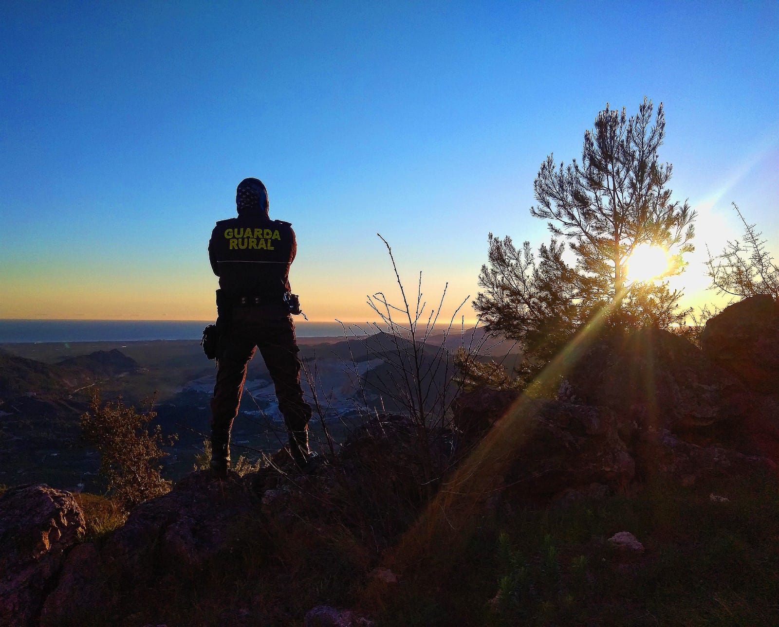 Imagen principal - Una brigada forestal vigila los 35 kilómetros de monte de Villalonga para evitar incendios