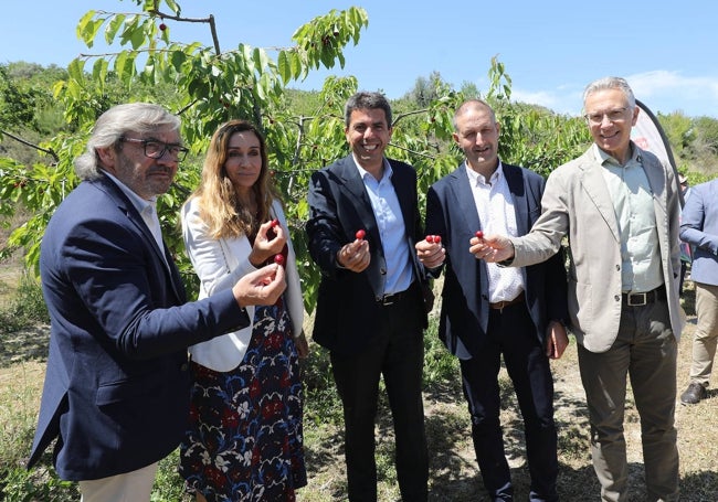 La consellera de Agricultura y el presidente de la Diputación durante el acto de inicio de la campaña de cereza.