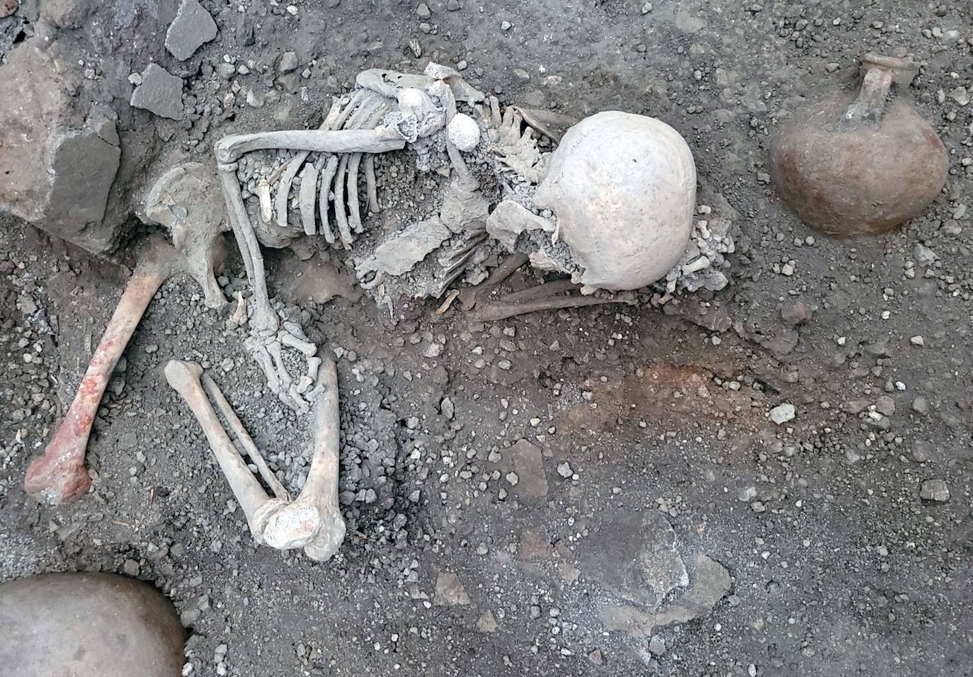 Hallan nuevos esqueletos en Pompeya: dos cuerpos que murieron tras la erupción del volcán Vesubio
