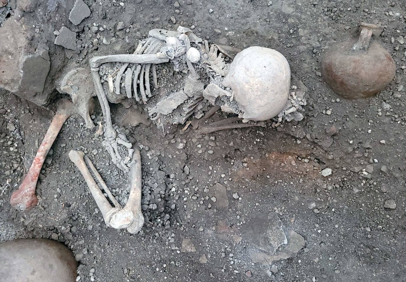 Hallan nuevos esqueletos en Pompeya: dos cuerpos que murieron tras la erupción del volcán Vesubio