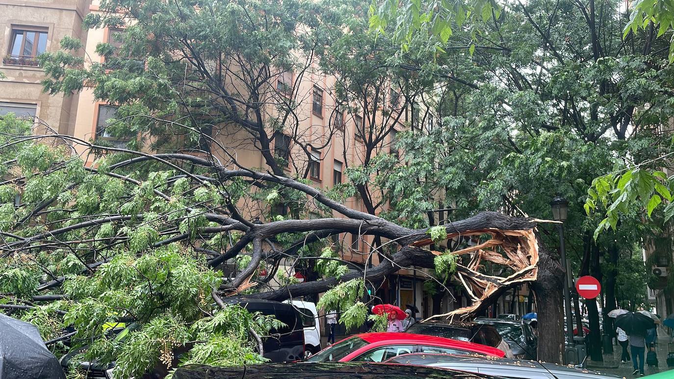 La DANA descarga con fuerza en Valencia y ocasiona varios daños