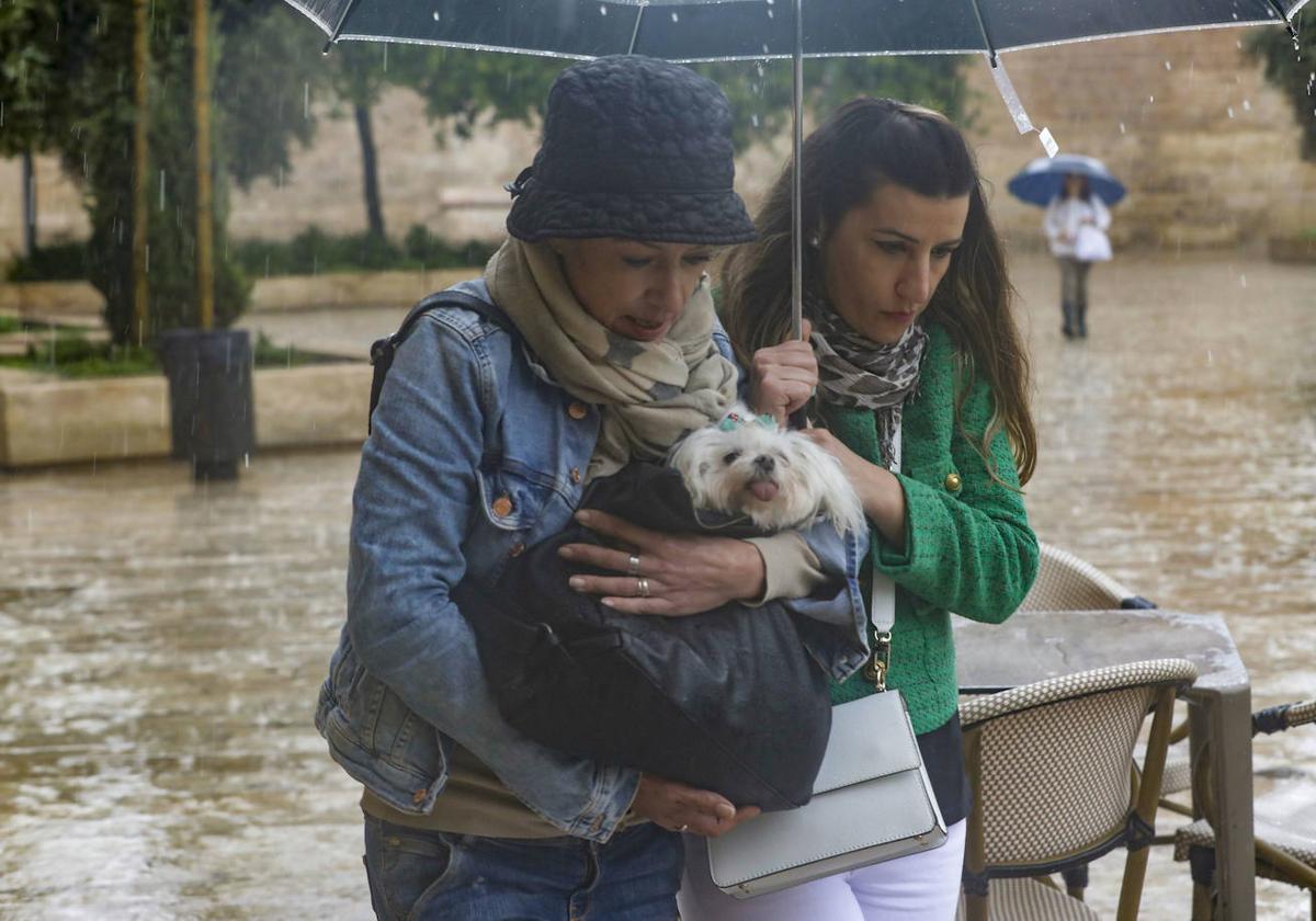 Fuertes lluvias en Valencia.