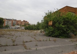 Suelo escolar del antiguo centro de FP Tirant Lo Blanch, en la calle Pepita Serrador.