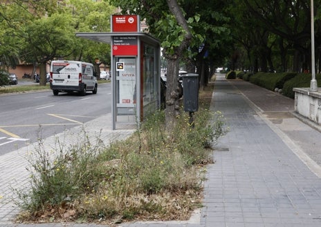 Imagen secundaria 1 - Solar con chabolas y maleza por las calles del barrio de Rovella, en Quatre Carreres.