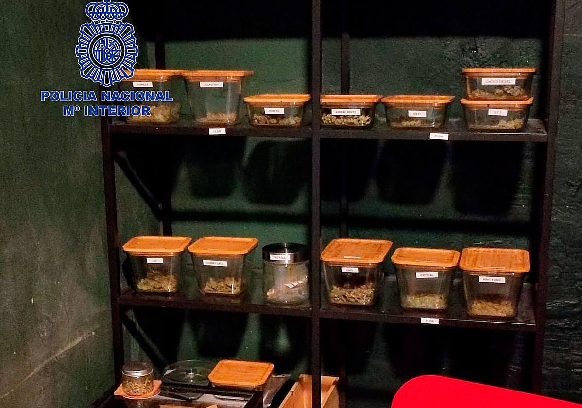 Ocho detenidos en Valencia por vender marihuana y hachís en dos asociaciones cannábicas