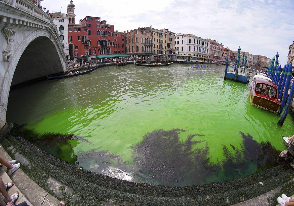 Las aguas del Gran Canal de Venecia se tiñen de verde fosforescente