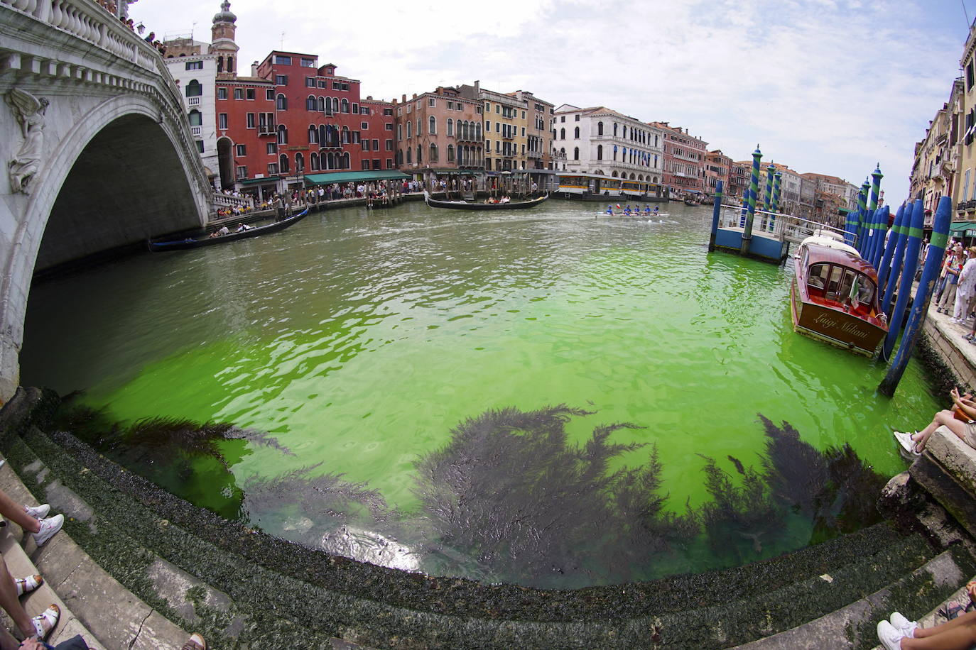 Las aguas del Gran Canal de Venecia se tiñen de verde fosforescente