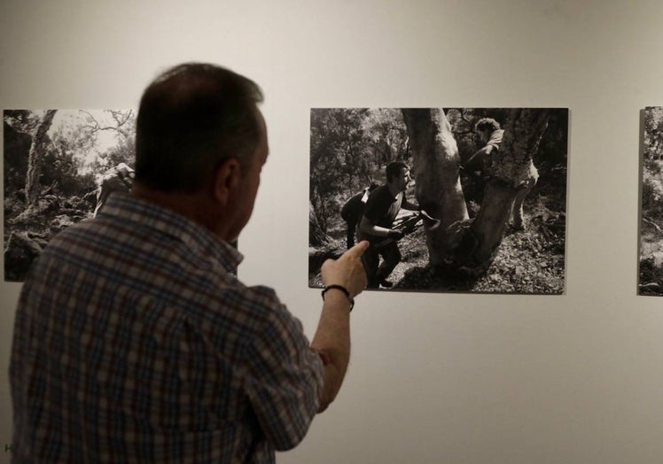 Imagen principal - Las dos propuestas artísticas de La Llotgeta de Valencia.