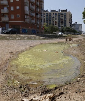 Imagen secundaria 2 - Solar de la calle Franco Tormo y parque con escasa zona de sombra en Padre Jofré.