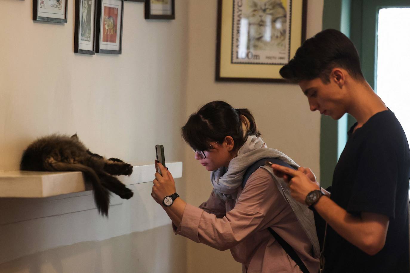 El museo con gatos de Teherán