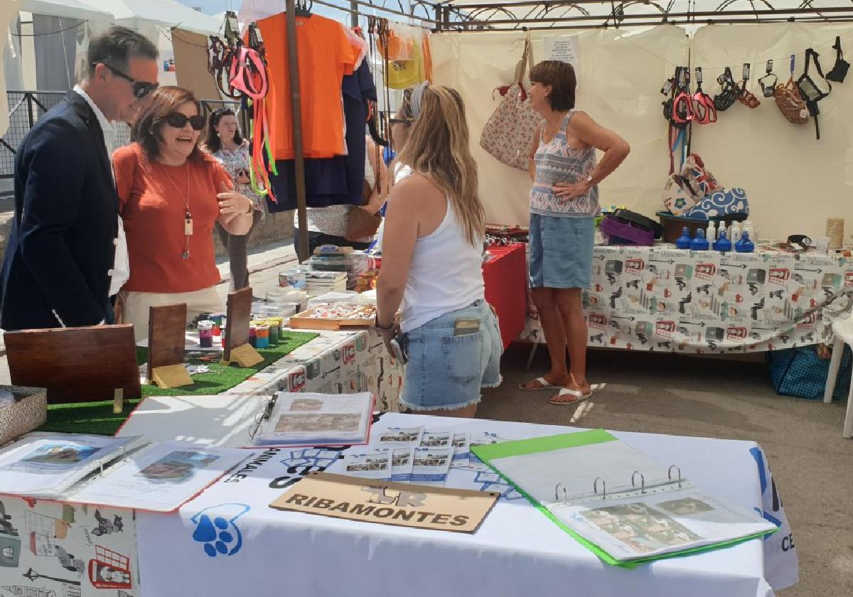 Casetas de asociaciones en la fiesta del asociacionismo.