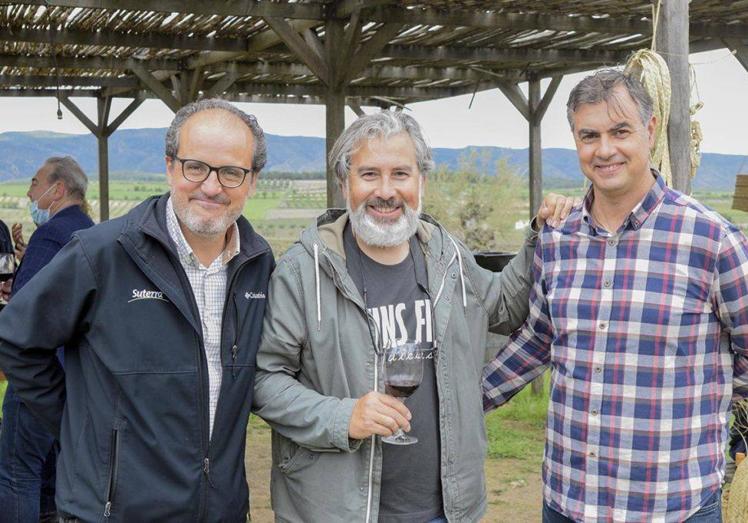 Imagen principal - A la izquierda, vendimiadores en las viñas de Pablo Calatayud, que arriba posa junto a Miguel Velázquez y Rafa Cambra.