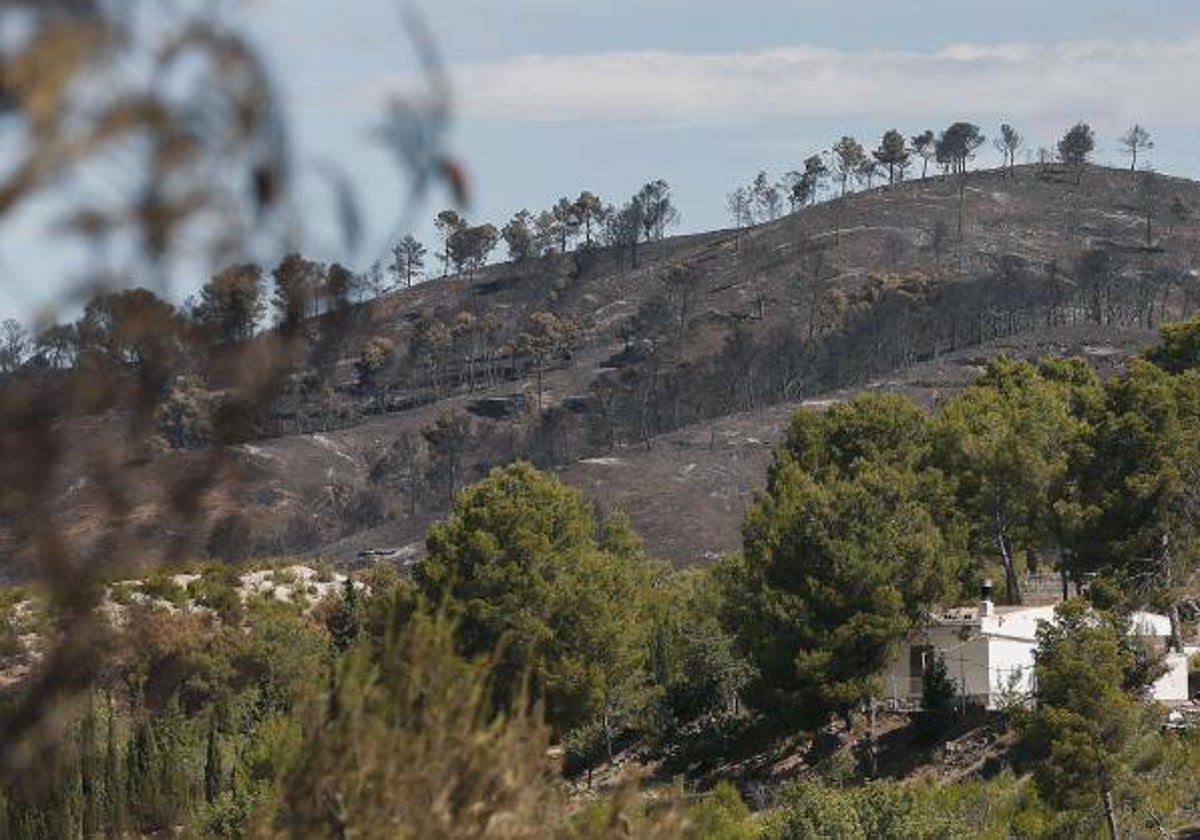 Vista de la Serra Calderona.