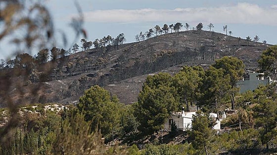 Fallece un hombre en la ruta ciclista de Segart