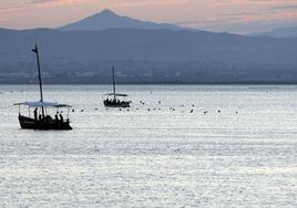 Aves revoloteando en la Albufera.