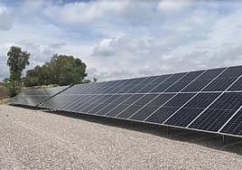 SERVITRIA entra en el grupo de empresas con ECOVADIS Platinum