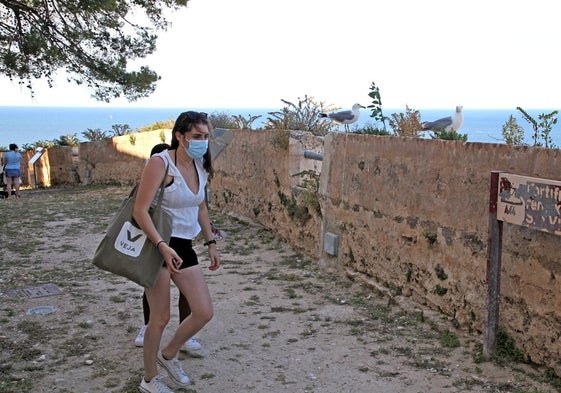 Unas gaviotas miran atentas a los turistas que visitan el Castillo de Dénia.