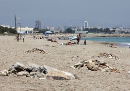 Vista de la playa de l'Arbre del Gos en Valencia.