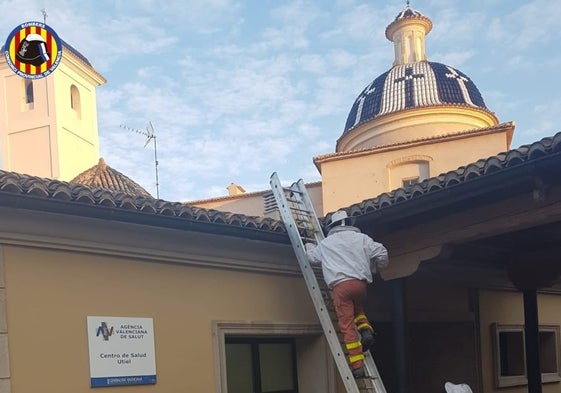 Un bombero sube por una escalera para retirar el enjambre.