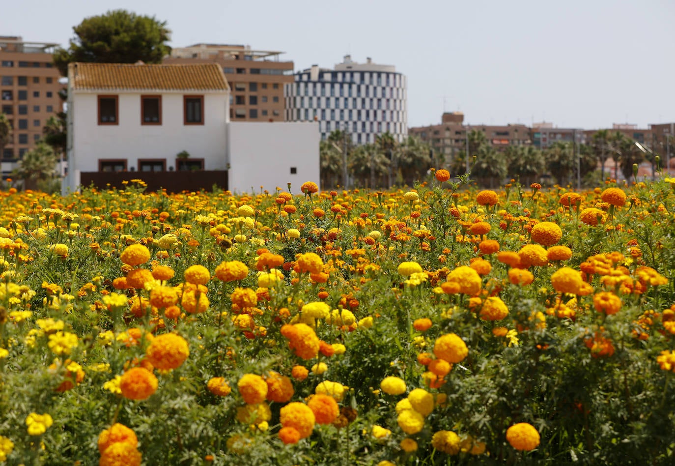 Los pueblos más turísticos de la provincia de Valencia