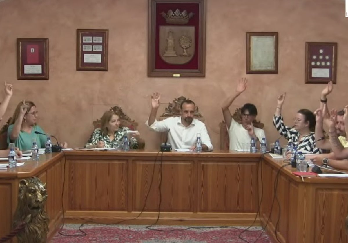 Momento del pleno de la nueva legislatura.