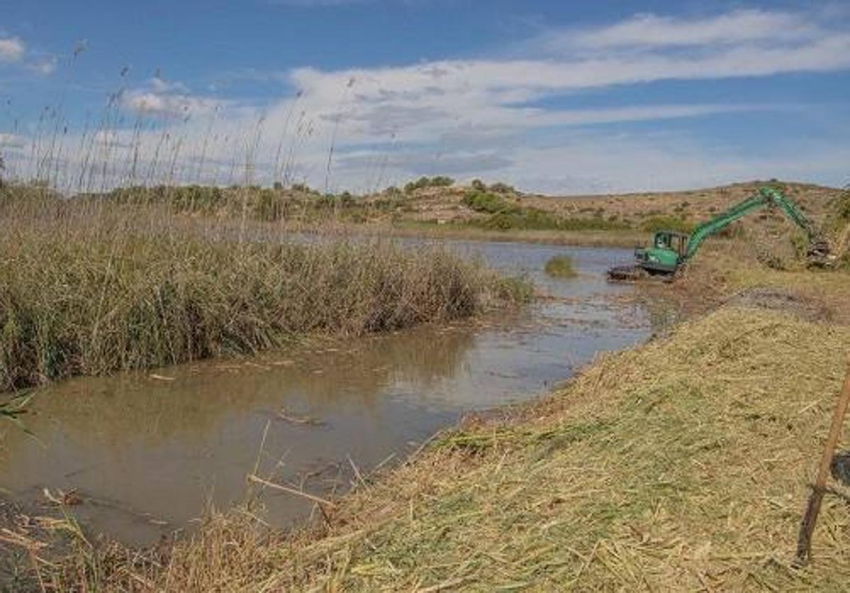 Aigües de Cullera e Hidraqua, en sintonía con l'Albufera