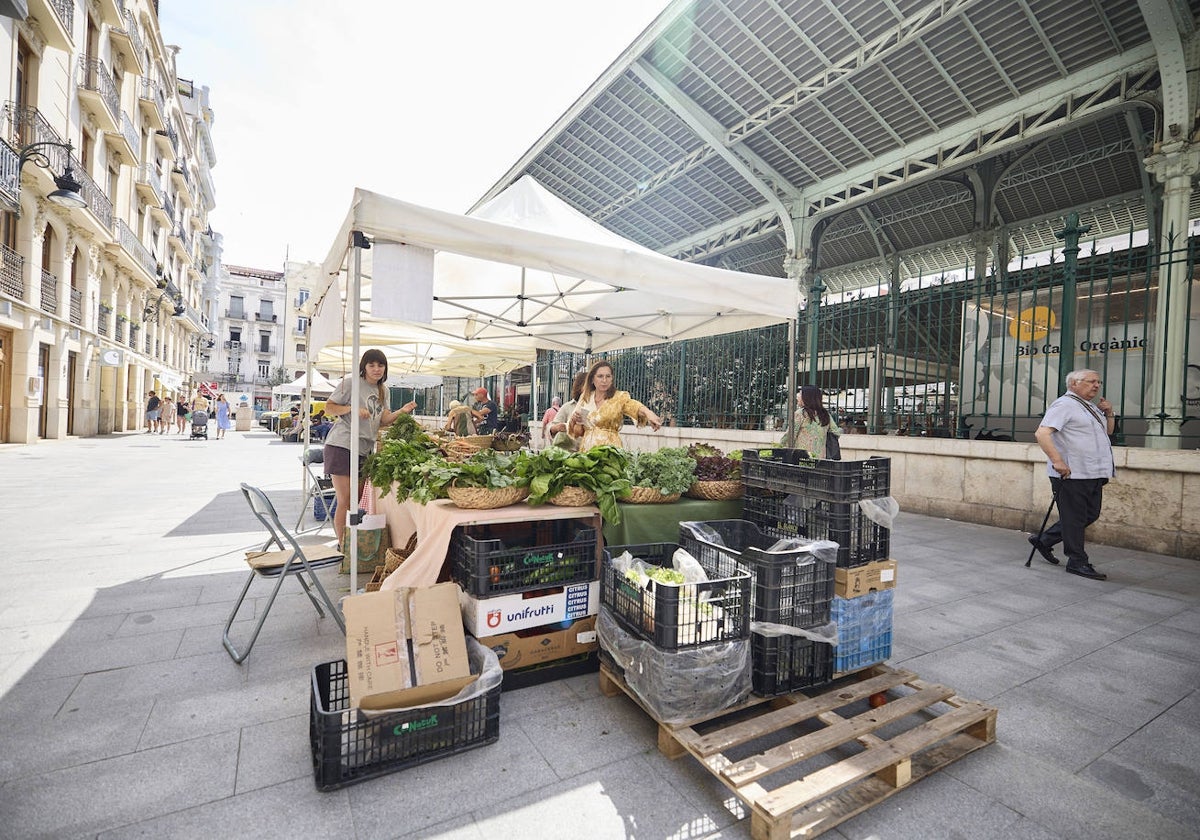 Mercado de productores instalado junto al mercado de Colón.