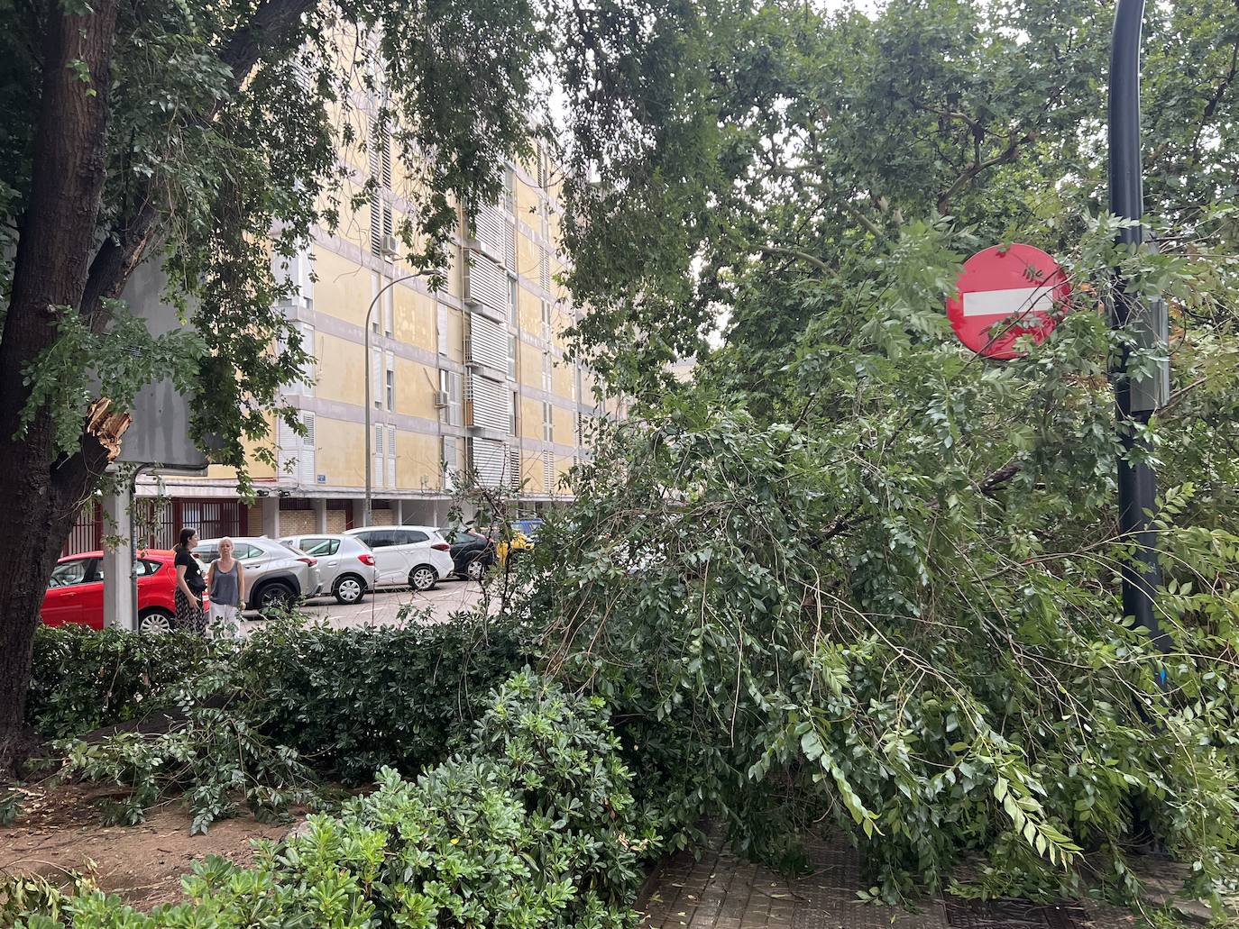 Una fuerte granizada origina el caos en Valencia este lunes