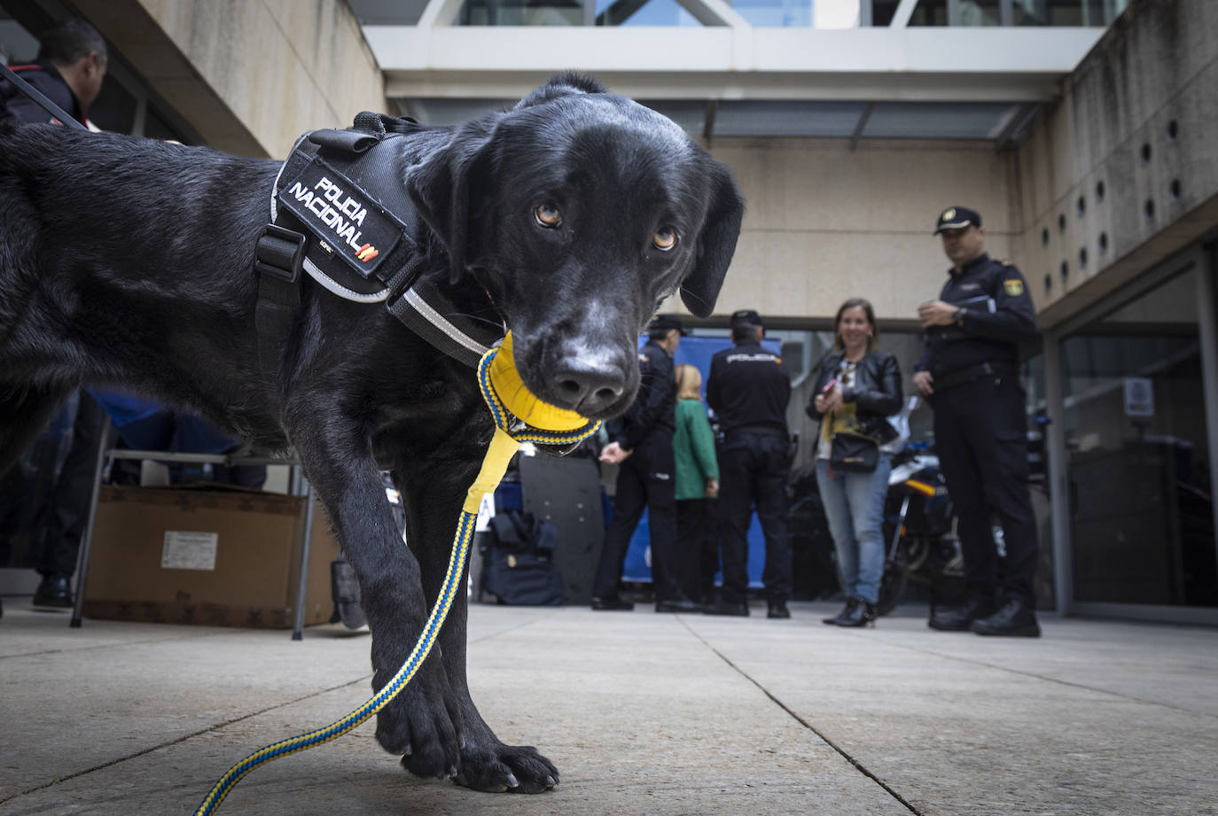 Perro policía