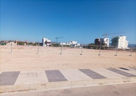 Parcela de la playa de Oliva donde se están llevando a cabo los trabajos.