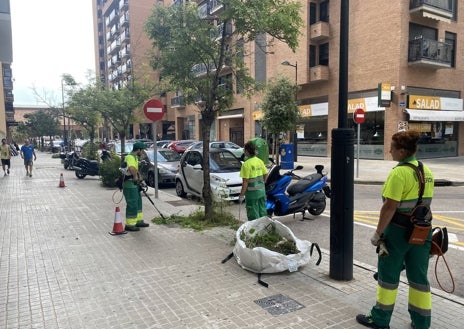 Imagen secundaria 1 - Actuación de una brigada en la calle Luis Bolinches Compañ y calle San Pedro.