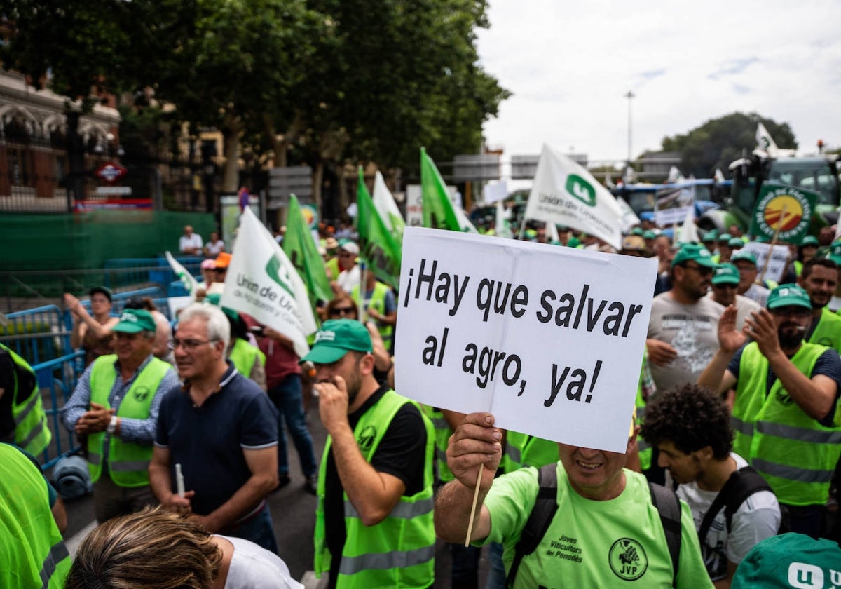 El campo valenciano, al borde de la ruina