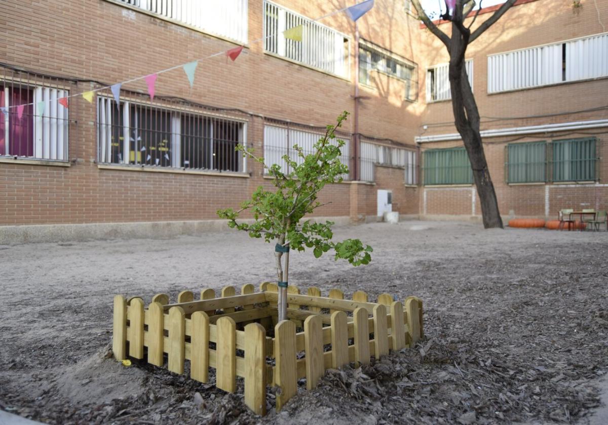 El CEIP Fernando de los Ríos recibirá 2,3 millones del Pla Edificant