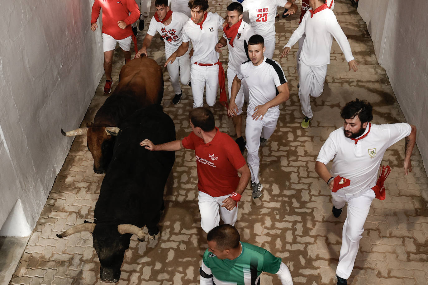 Los toros de Jandilla protagonizan el sexto encierro de Sanfermines.