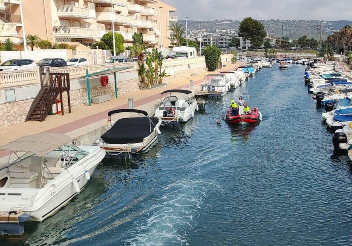 La retirada de peces del canal desde una embarcación de Cruz Roja.