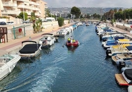 La retirada de peces del canal desde una embarcación de Cruz Roja.